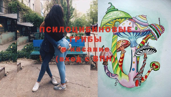 прущие крисы Верея